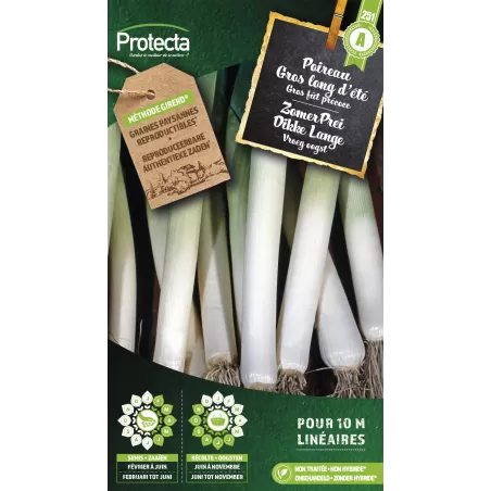 Poireau gros long d'été - Cat. - Protecta à 2,40 € - Protecta - SE-POT-00057 - Plantes, Buis & Légumes