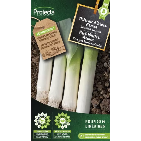 Poireau d'hiver Armor - Cat. B - Protecta à 3,65 € - Protecta - SE-POT-00223 - Plantes, Buis & Légumes