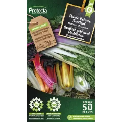 Poirée à cardes colorées Festival - Cat. C - Protecta - 4,80 € -  - 5410560002218 - Ornibird SRL