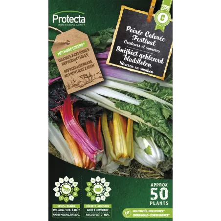 Poirée à cardes colorées Festival - Cat. C - Protecta à 4,80 € - Protecta - SE-POT-00150 - Plantes, Buis & Légumes