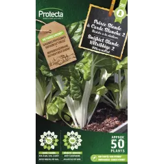 Poirée Blonde à Carde Blanche 2 - Cat. A - Protecta à 2,40 € -  - SE-POT-00058 - Plantes, Buis & Légumes