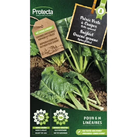 Poirée Verte à Couper "Bette Epinard" - Cat. A - Protecta à 2,40 € - Protecta - SE-POT-00061 - Plantes, Buis & Légumes