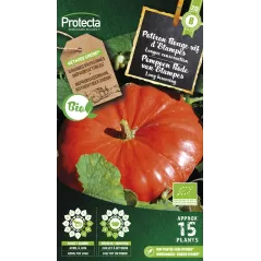 Potiron Rouge vif d'Etampes FR-BIO-15 - Cat. B - Protecta à 3,65 € -  - SE-POT-00209 - Plantes, Buis & Légumes
