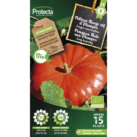Potiron Rouge vif d'Etampes FR-BIO-15 - Cat. B - Protecta à 3,65 € - Protecta - SE-POT-00209 - Plantes, Buis & Légumes