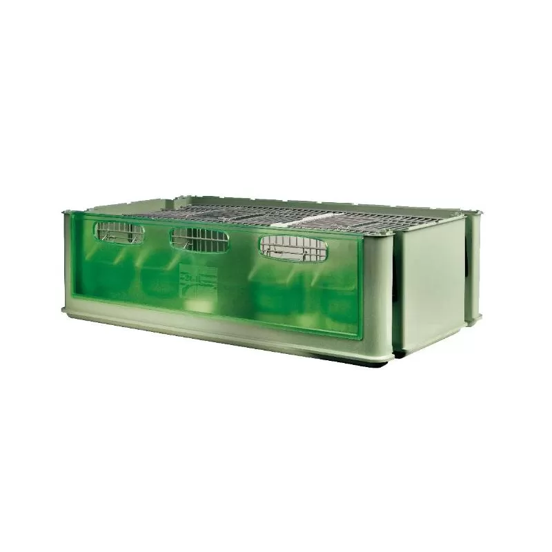 Box de transport Maxi Tino - 2G-R Box de transport Maxi Tino - 2G-R