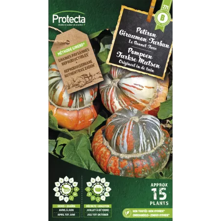 Potiron Giraumon Turban Cat. B - Protecta à 3,65 € -  - SE-POT-00152 - Plantes, Buis & Légumes