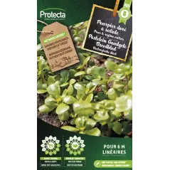 Pourpier doré à salade Cat. B - Protecta à 3,65 € - Protecta - SE-POT-00128 - Plantes, Buis & Légumes
