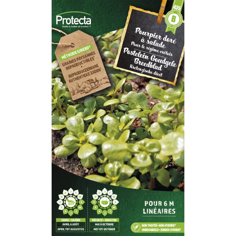 Pourpier doré à salade Cat. B - Protecta Pourpier doré à salade Cat. B - Protecta