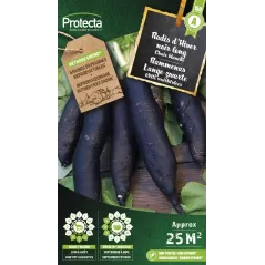 Radis d'hiver noir long d'hiver Cat. A - Protacta à 2,40 € -  - SE-POT-00018 - Plantes, Buis & Légumes
