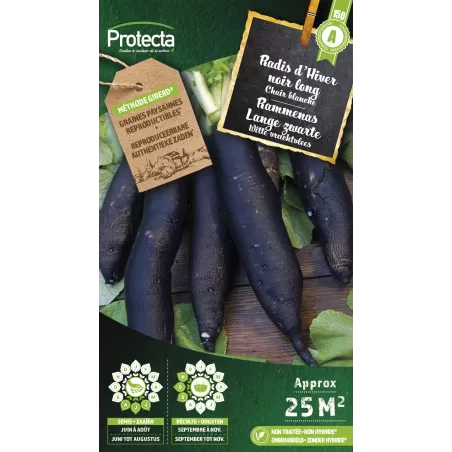 Radis d'hiver noir long d'hiver Cat. A - Protacta à 2,40 € -  - SE-POT-00018 - Plantes, Buis & Légumes