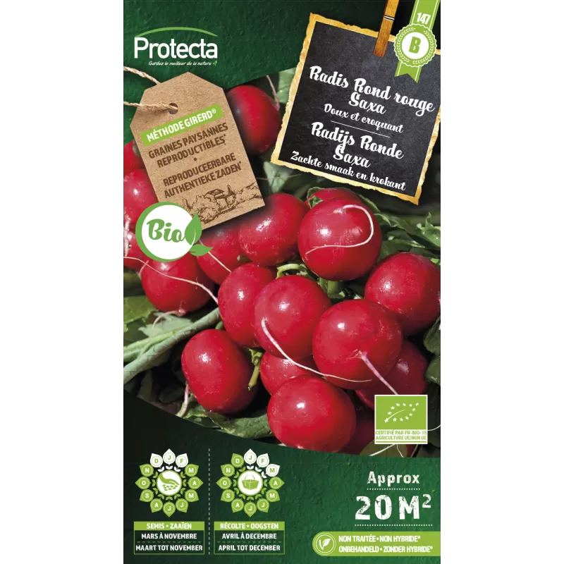 Radis rond rouge Saxa FR-BIO-15 Cat. B - Protecta