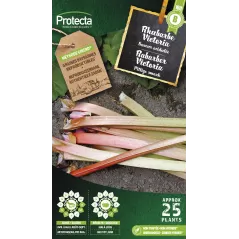 Rhubarbe - Cat. B - Protecta à 3,65 € - Protecta - SE-POT-00026 - Plantes, Buis & Légumes