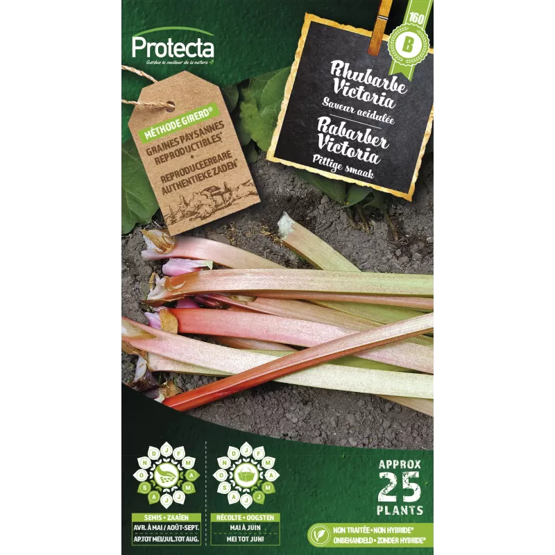 Rhubarbe - Cat. B - Protecta Rhubarbe - Cat. B - Protecta