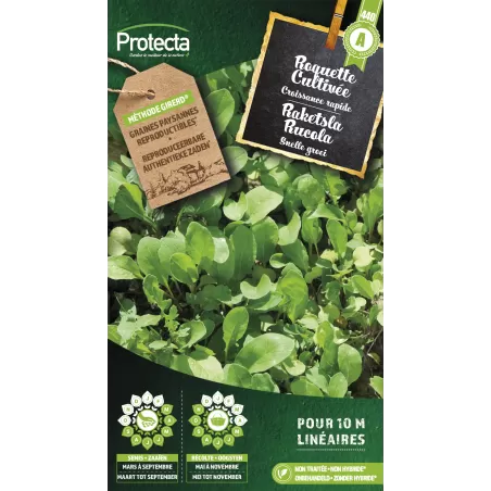 Roquette Cultivée Cat. A - Protecta à 2,40 € -  - SE-POT-00129 - Plantes, Buis & Légumes
