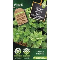 Tétragone cornue Cat. B - Protecta à 3,65 € - Protecta - SE-POT-00055 - Plantes, Buis & Légumes