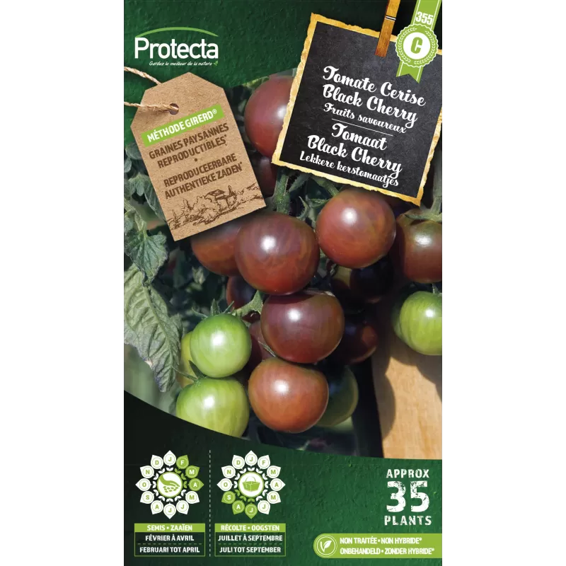 Tomate Black Cherry - Cat. C - Protecta Tomate Black Cherry - Cat. C - Protecta