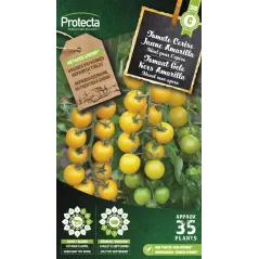 Tomate Cerise Jaune Amarilla Cat. C - Protecta à 4,80 € -  - SE-POT-00260 - Plantes, Buis & Légumes