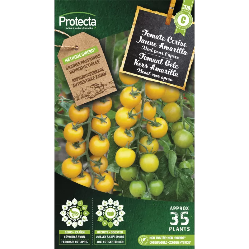 Tomate Cerise Jaune Amarilla Cat. C - Protecta