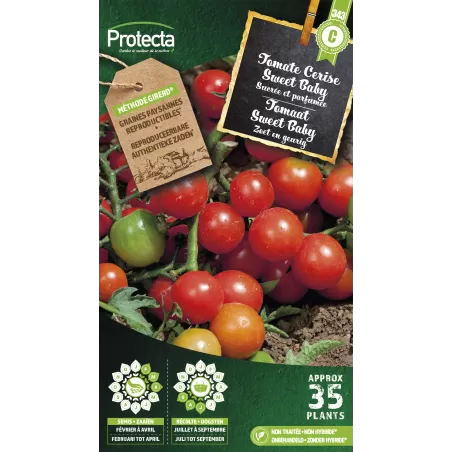 Tomate Cerise Sweet Baby - Cat. C - Protecta à 4,80 € -  - SE-POT-00089 - Plantes, Buis & Légumes