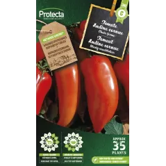 Tomate andine cornue - Cat. C - Protecta - 4,80 € -  - 5425005399174 - Ornibird SRL