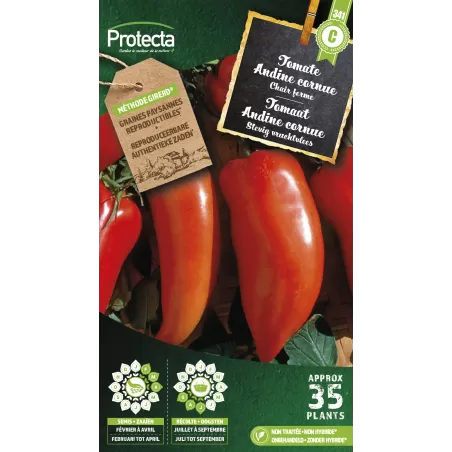 Tomate andine cornue - Cat. C - Protecta à 4,80 € - Protecta - SE-POT-00087 - Plantes, Buis & Légumes