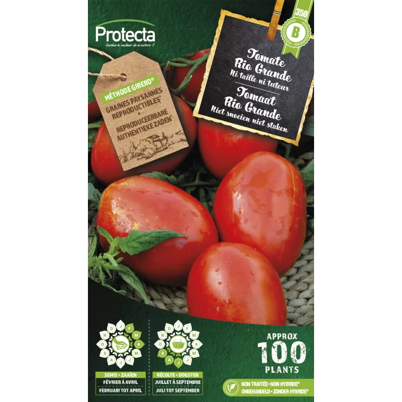 Tomate Rio Grande - Cat. B - Protecta Tomate Rio Grande - Cat. B - Protecta