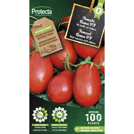 Tomate Roma VF - Cat.B - Protecta à 3,65 € -  - SE-POT-00098 - Plantes, Buis & Légumes