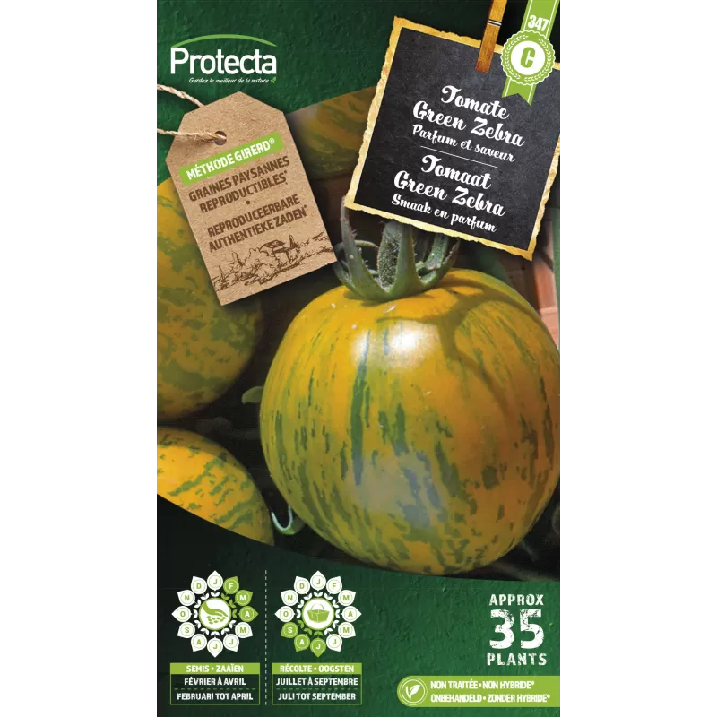 Tomate Green Zebra - Cat. C - Protecta Tomate Green Zebra - Cat. C - Protecta
