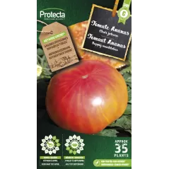 Tomate ananas - Cat. C - Protecta à 4,80 € -  - SE-POT-00086 - Plantes, Buis & Légumes