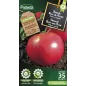 Tomate rose de Berne - Cat. C - Protecta