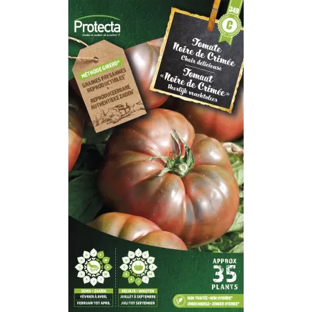 Tomate noire de Crimée - Cat. C - Protecta à 4,80 € - Protecta - SE-POT-00094 - Plantes, Buis & Légumes