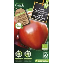 Tomate cœur de Bœuf FR-BIO-15 - Cat. C - Protecta à 4,80 € - Protecta - SE-POT-00213 - Plantes, Buis & Légumes