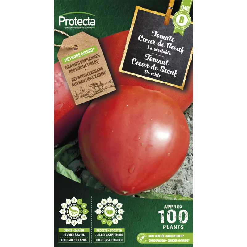 Tomate cœur de Bœuf - Cat. B - Protecta Tomate cœur de Bœuf - Cat. B - Protecta