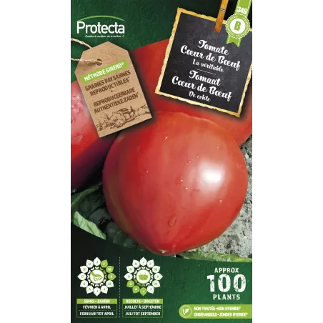 Tomate cœur de Bœuf - Cat. B - Protecta à 3,65 € -  - SE-POT-00091 - Plantes, Buis & Légumes