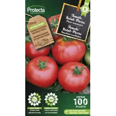 Tomate Saint-Pierre Piersol - Cat. B - Protecta à 3,65 € -  - SE-POT-00101 - Plantes, Buis & Légumes