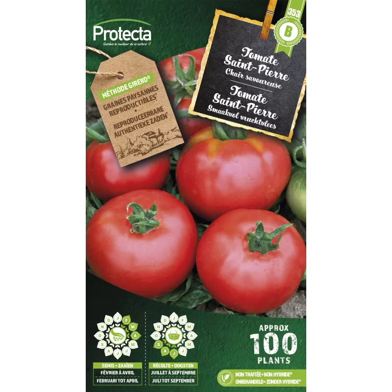 Tomate Saint-Pierre Piersol - Cat. B - Protecta Tomate Saint-Pierre Piersol - Cat. B - Protecta