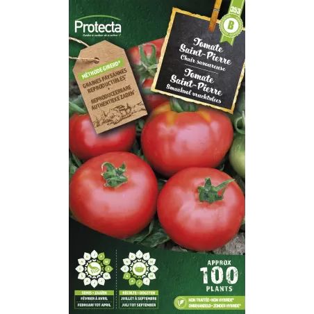 Tomate Saint-Pierre Piersol - Cat. B - Protecta à 3,65 € -  - SE-POT-00101 - Plantes, Buis & Légumes