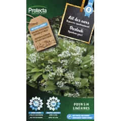 Ail des ours - Cat. C - Protecta à 4,80 € -  - SE-CON-00038 - Plantes, Buis & Légumes