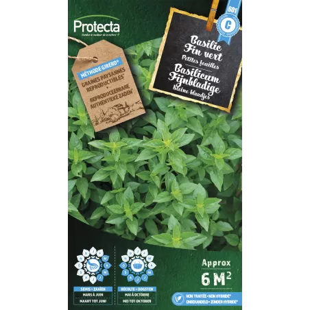 Basilic Fin vert Nain Compact - Cat. C - Protecta à 4,80 € - Protecta - SE-CON-00002 - Plantes, Buis & Légumes