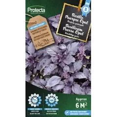 Basilic Pourpre Opal - Cat. B - Protecta - 3,65 € -  - 5425005399341 - Ornibird SRL