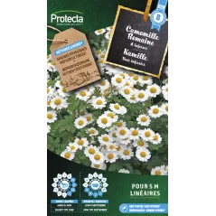 Camomille Romaine - Cat. B - Protecta à 3,65 € -  - SE-CON-00042 - Plantes, Buis & Légumes