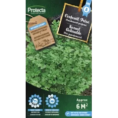 Cerfeuil frisé - Cat. A - Protecta à 2,40 € -  - SE-CON-00007 - Plantes, Buis & Légumes