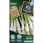 Ciboule Blanche - Cat. B - Protecta Ciboule Blanche - Cat. B - Protecta