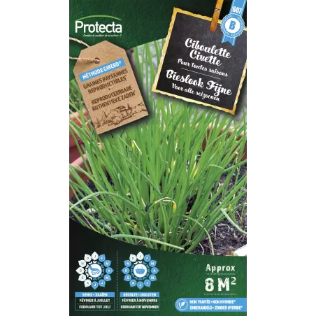 Ciboulette - Cat. B - Protecta à 3,65 € - Protecta - SE-CON-00008 - Plantes, Buis & Légumes