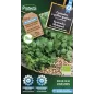Coriandre à petites graines FR-BIO-15 - Cat. C - Protecta Coriandre à petites graines FR-BIO-15 - Cat. C - Protecta