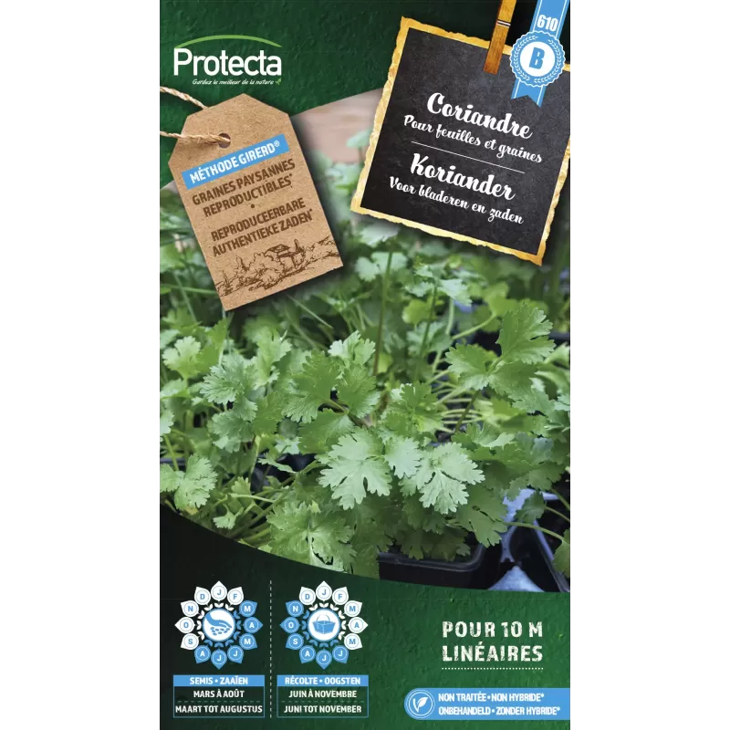 Coriandre cultivée - Cat. B - Protecta Coriandre cultivée - Cat. B - Protecta