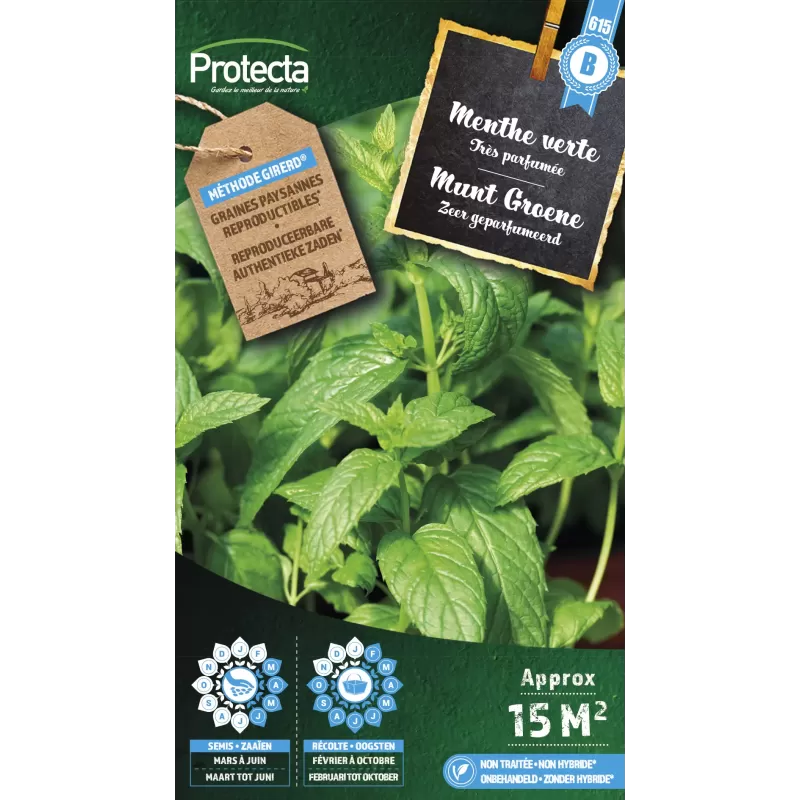 Menthe verte - Cat. B - Protecta Menthe verte - Cat. B - Protecta