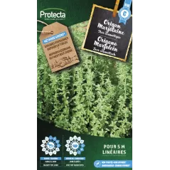 Origan Marjolaine - Cat. C - Protecta à 4,80 € -  - SE-CON-00015 - Plantes, Buis & Légumes