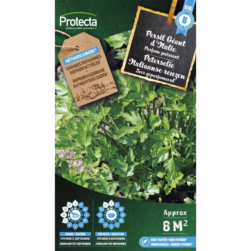 Persil Géant d'Italie - Cat. B - Protecta