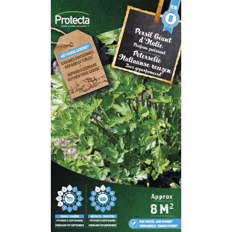 Persil Géant d'Italie - Cat. B - Protecta à 3,65 € - Protecta - SE-CON-00017 - Plantes, Buis & Légumes